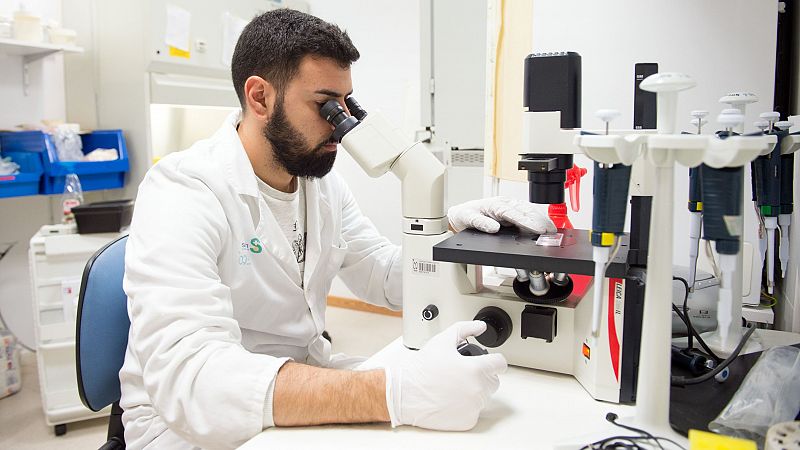 El Hospital de Parapljicos de Toledo investiga el uso de clulas madre para reparar los tejidos de sus pacientes
