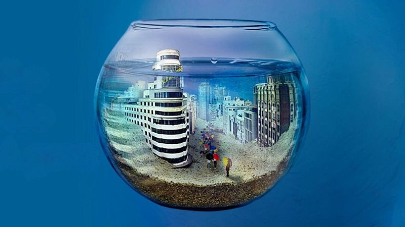 Un a�o m�s, llega el Proyecto Zarza