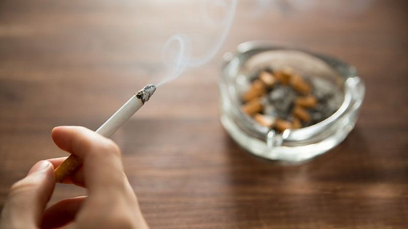 Sanidad planteará a la CC.AA. aumentar los espacios libres de tabaco - Diario 24 | Ver