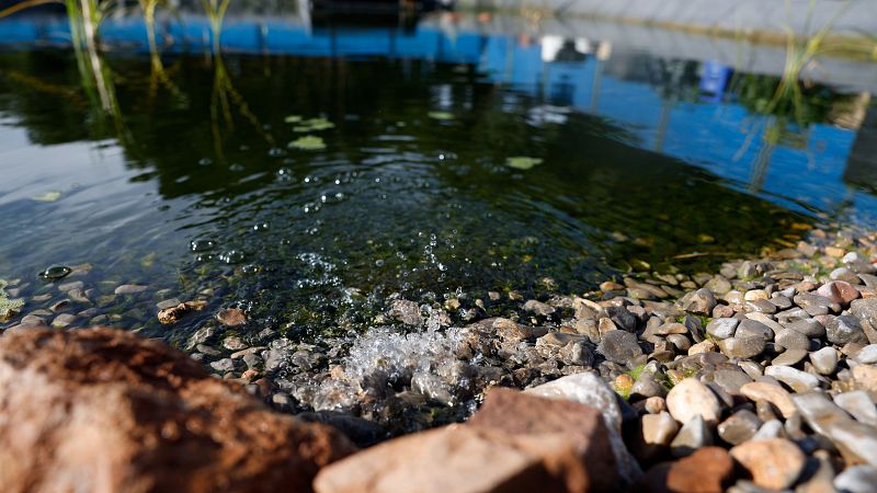 La justicia europea condena a España por no evitar la contaminación del agua por nitratos usados en la agricultura