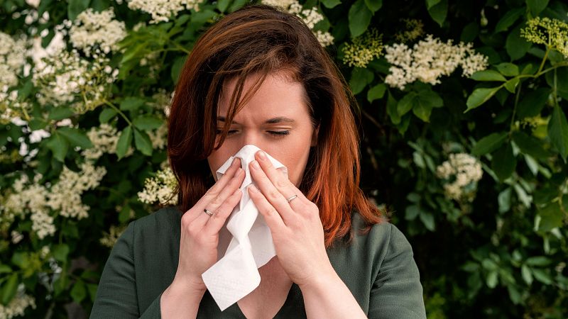 Los alérgicos al polen de gramíneas sufrirán una primavera intensa en el centro y suroeste peninsular