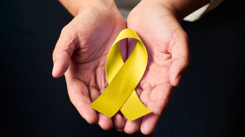 El Senado insta al Gobierno a la creación de un plan nacional de prevención del suicidio