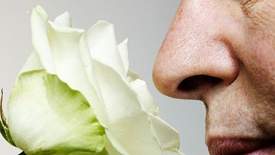 Lo que no sabas del sentido del olfato