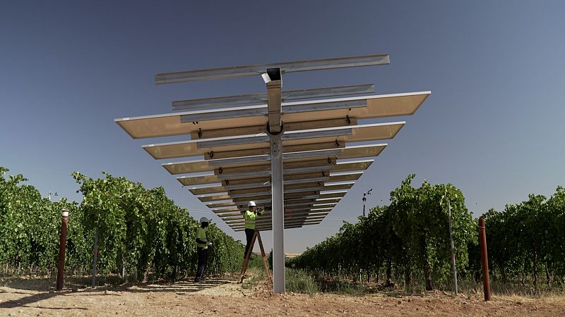 Agrovoltaica: cuando la energa solar y los cultivos se complementan en lugar de competir