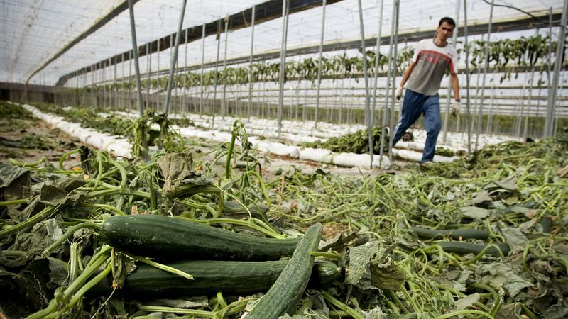 Alemania indemnizará a dos empresas españolas por culparlas por error del brote de 'E. coli' de 2011