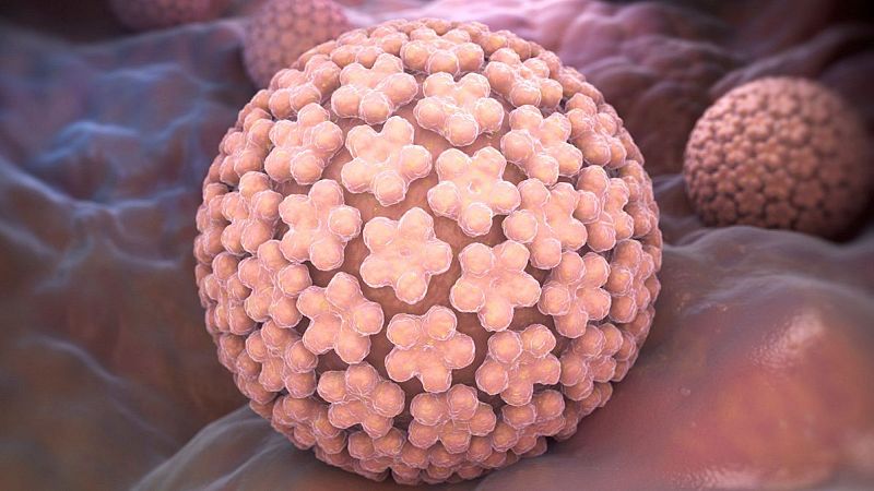 Les dones d'entre 30 i 65 anys podran fer-se proves de detecció de VPH