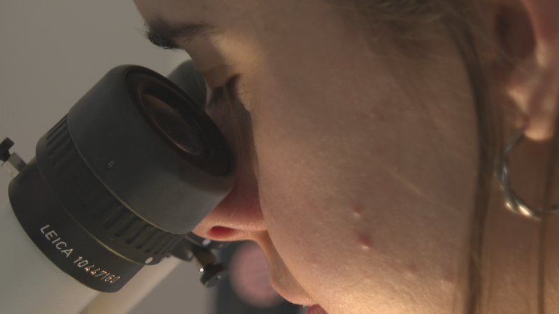 Brecha de género en las profesiones STEM: ¿Qué se está haciendo para cerrarla?