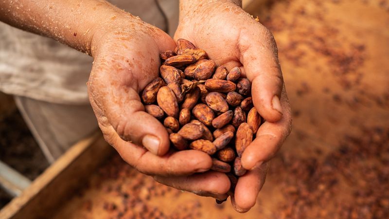 El Lunes de Pascua con el cacao más caro: su precio ha subido un 135% en lo que va de año