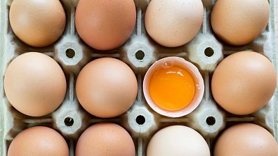 ¿Por qué las hueveras son de 12 huevos?