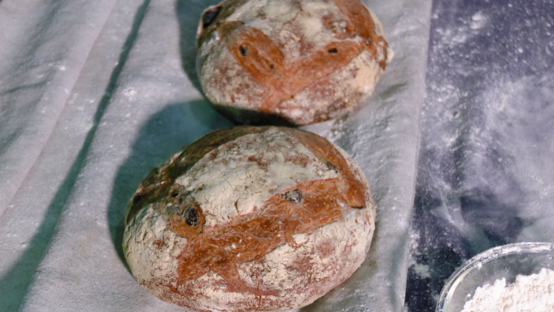 Receta de pan de aceitunas: un pan olímpico y saludable