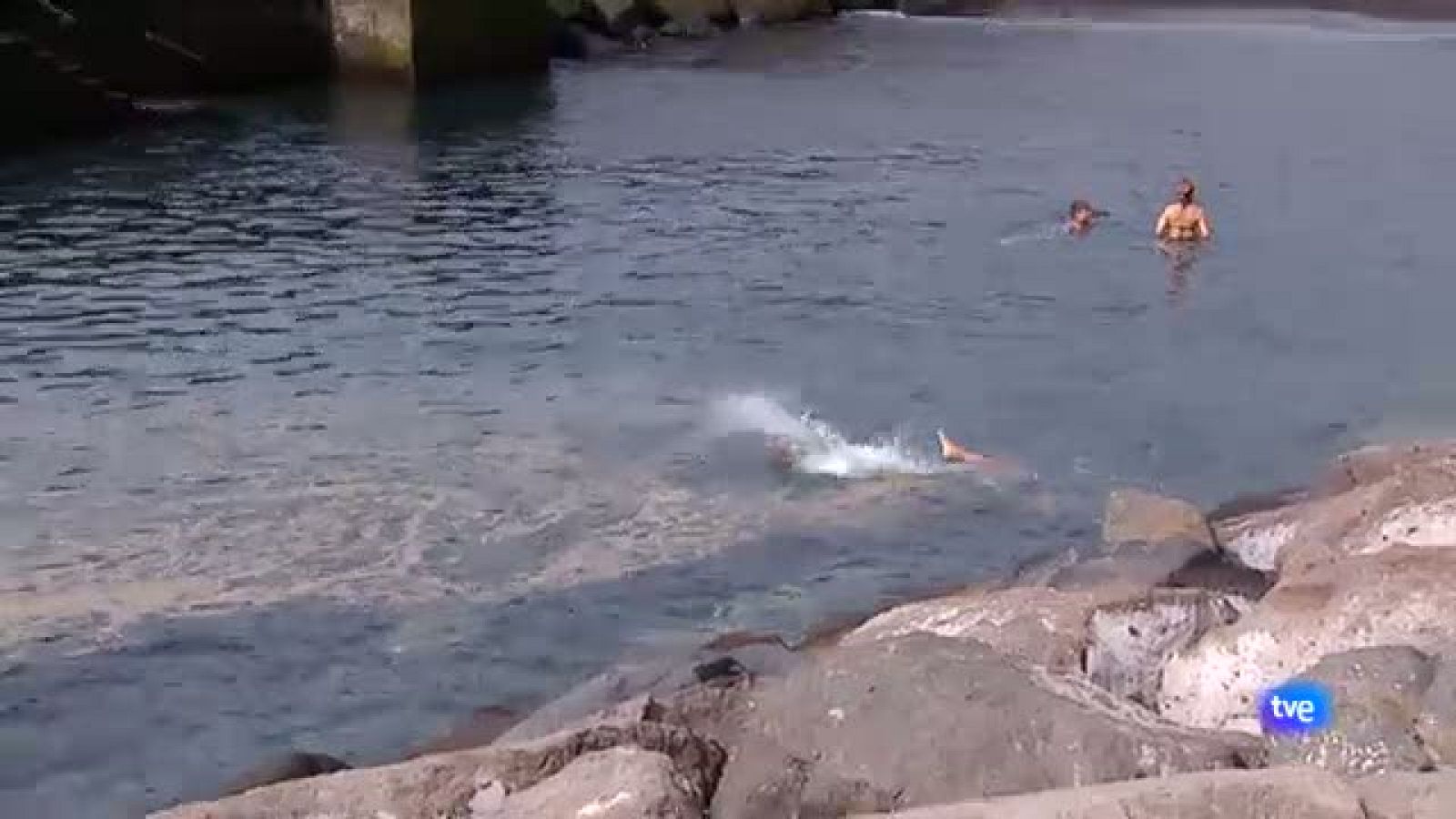 Polémica Microalgas