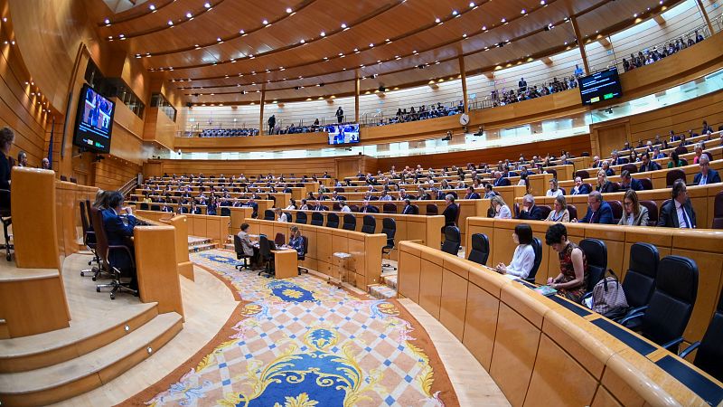 El Senado aprueba plantear un conflicto de atribuciones al Congreso por la ley de amnistía