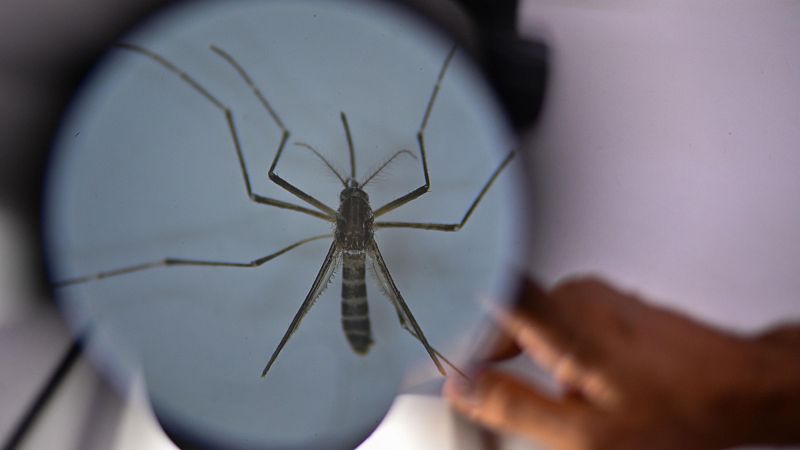 Brasil supera los tres millones de casos de dengue en lo que va de 2024