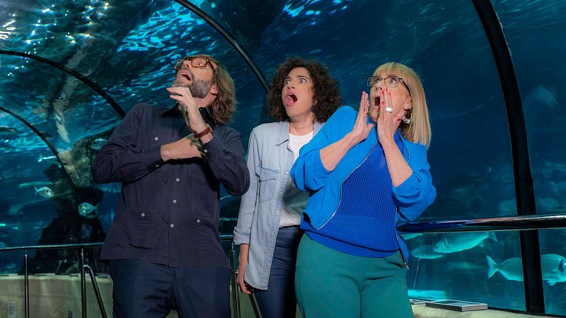 La sobreprotecció i les pors de les famílies, aquest dissabte a 'Farem el que podrem' i 'Això no és Suècia'