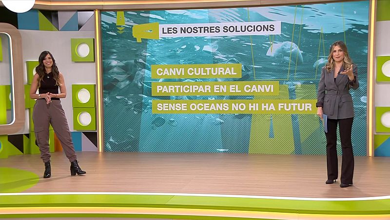 Quines són les 4 grans amenaces dels oceans i com afrontar-les