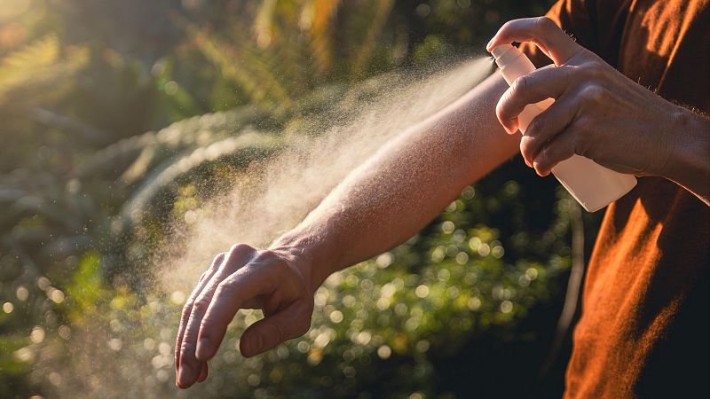 El aumento de la temperatura multiplica la presencia de mosquitos, cucarachas o garrapatas