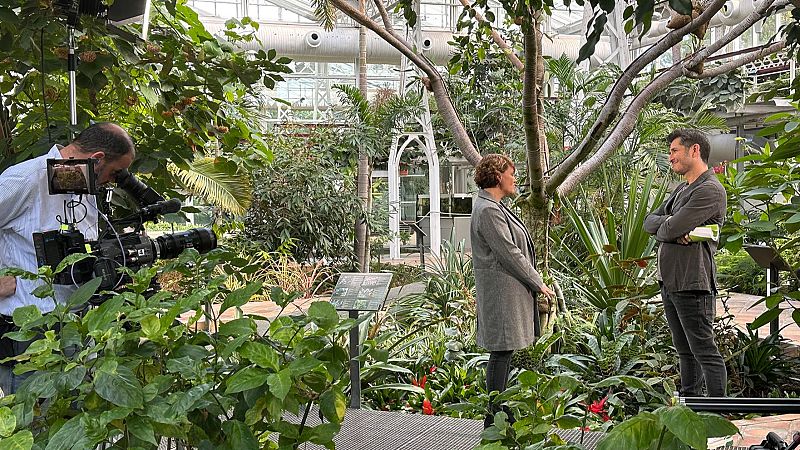 La lección de generosidad de los trasplantes protagoniza 'La matemática del espejo'