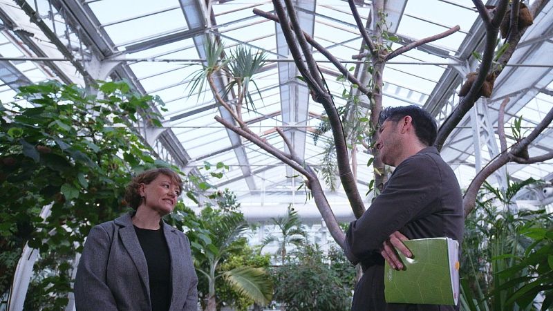 Murió con 4 años y sus órganos salvaron a seis personas: Esta es la historia de sus padres… y héroes