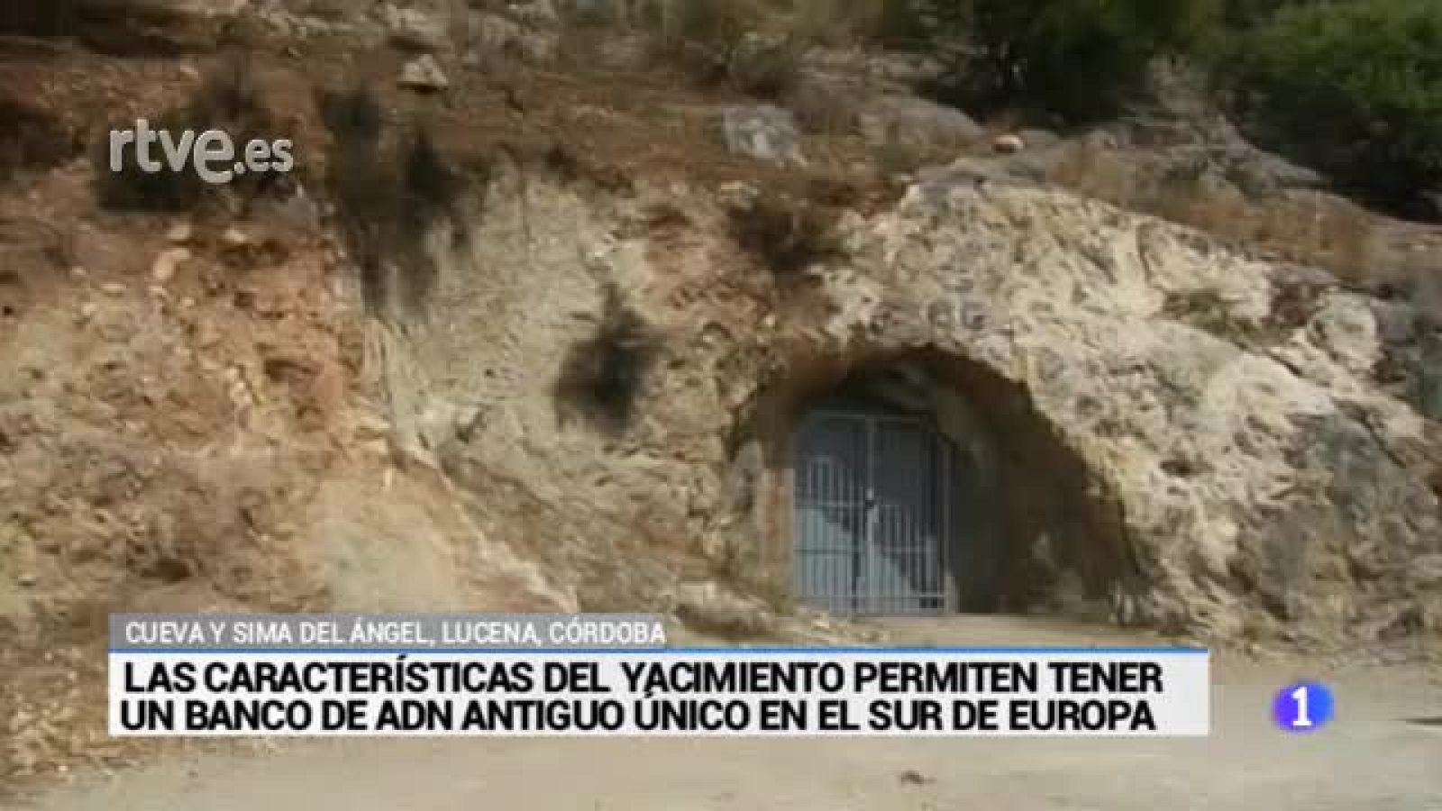 Cueva Lucena | Ver