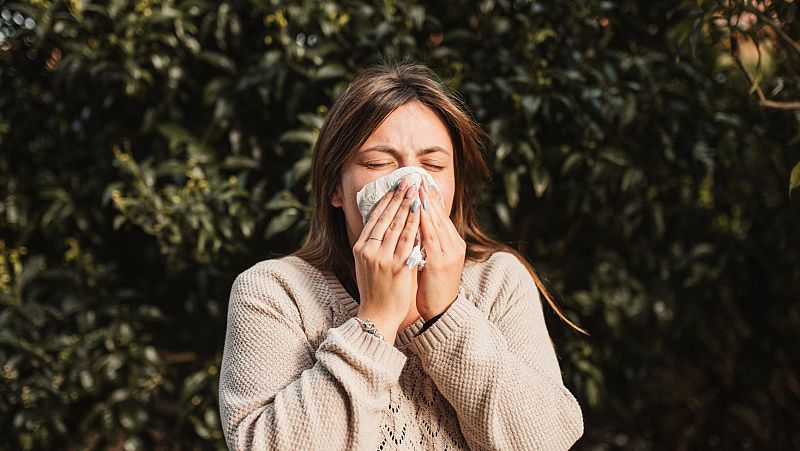 Alergia ambiental: todo lo que debería saber si la padeces