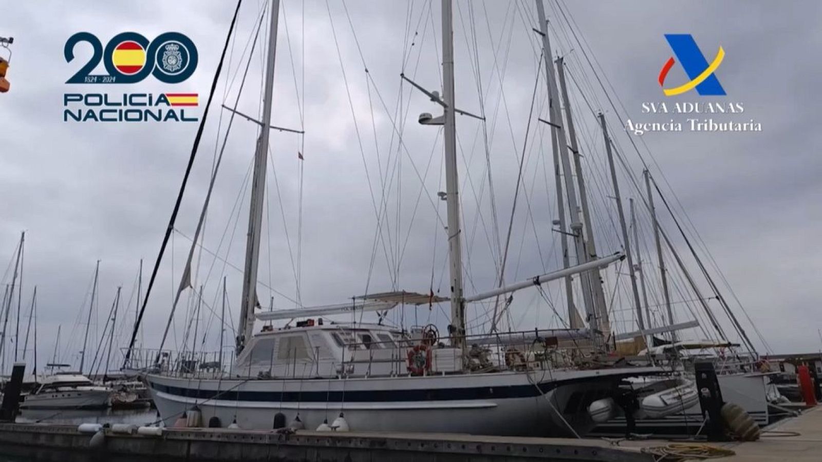 Cae el 'Narco de la Wikipedia' | Ver