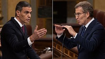 Pedro S�nchez y Alberto N��ez Feij�o