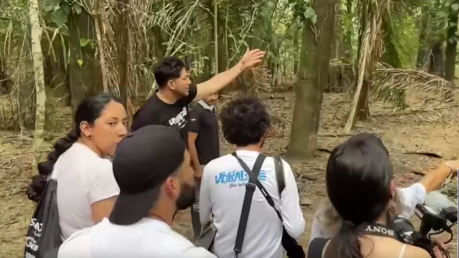 Seis de cada 10 percances atendidos por empresas de seguros suceden durante viajes al extranjero | Ver