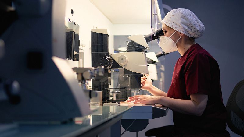 Tratamientos bacterianos contra el cáncer o un sistema que predice sequías: el CSIC exhibe su arsenal de patentes