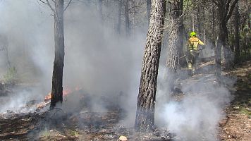 Bomberos forestales realizan quemas prescritas en Guadalajara