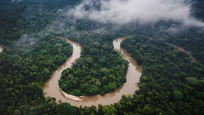 Imagen de archivo de la Amazona de Ecuador.