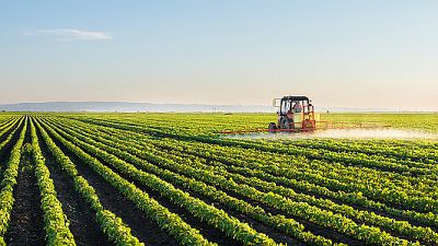 Diez minutos bien empleados - Siniestralidad laboral en el campo - 04/09/17 - Escuchar ahora