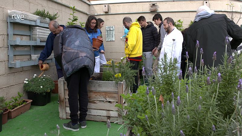 Els beneficis de cultivar un hort