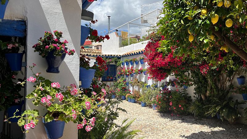 Entre flores y tradición: el encanto centenario de los Patios de Córdoba