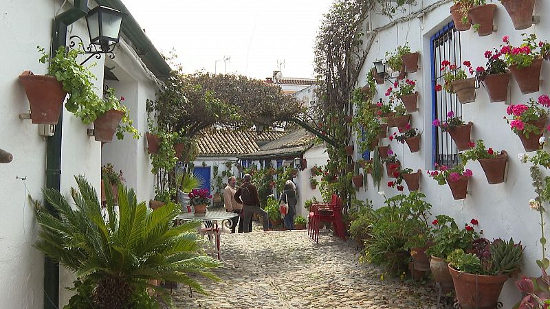 La Fiesta de los patios de Crdoba acerca al mundo una costumbre centenaria