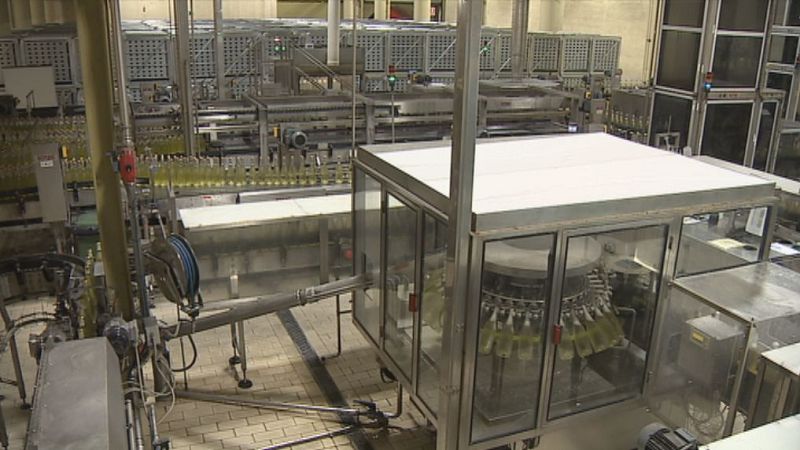 Acord per a una reducció temporal de plantilla a Freixenet