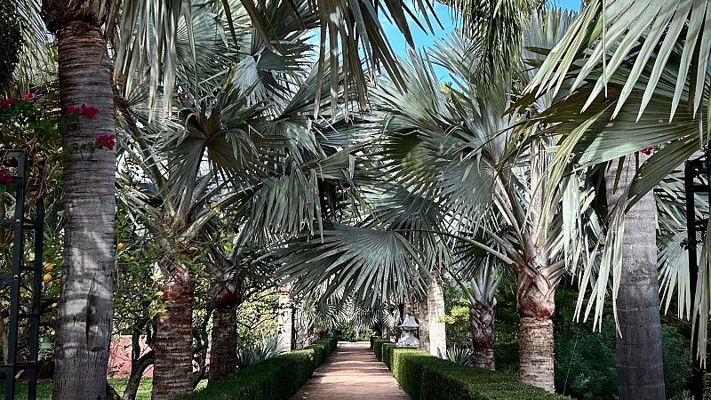 Cmo consigue no tener plagas el Jardn de L'Albarda, en Alicante, sin usar productos qumicos?