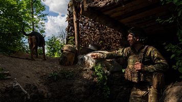 Un soldado de la 59 Brigada Separada de Infantera Motorizada del ejrcito ucraniano observa a un perro callejero