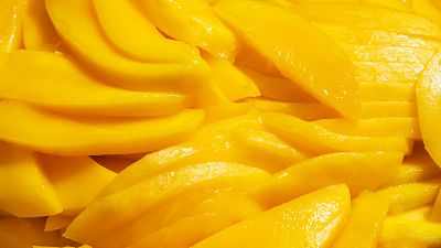 Aprende a elaborar este manjar de mango con queso. Sabe a beso!