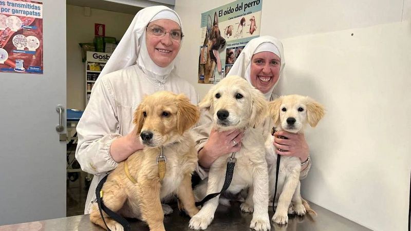 Denuncian y expedientan a las monjas clarisas de Belorado por tener un criadero de perros ilegal