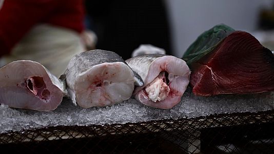Detectan anisakis en merluzas procedentes de Marruecos: qu es? Cules son sus sntomas?