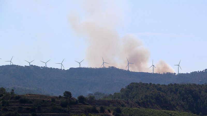 Resum de notícies a Catalunya del 28 de maig del 2024 | Estabilitzat l'incendi forestal que ha cremat unes 70 hectàrees al parc eòlic del Baix Ebre