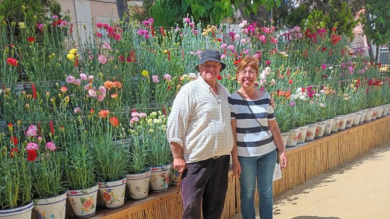 Joan Comas, 49 a�os cuidando sus claveles para el concurso del Corpus de Sitges: "Lo llevo dentro como una joya"