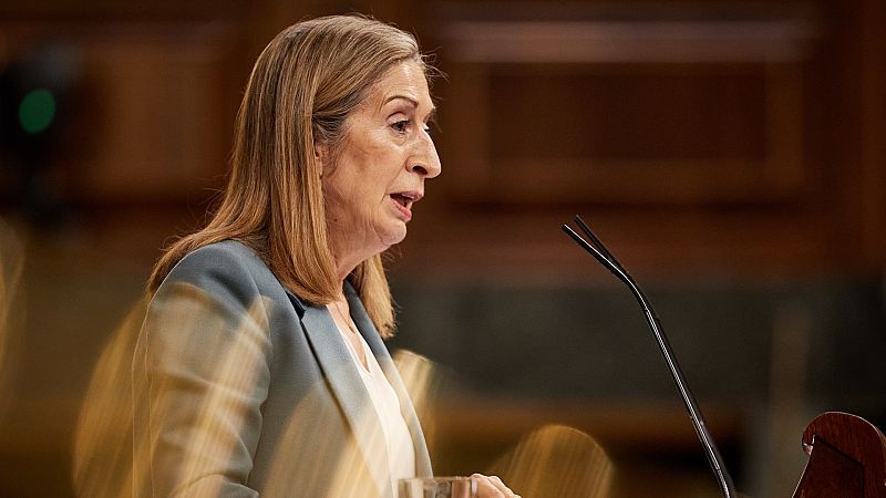 La exministra de Sanidad Ana Pastor deja el Congreso para volver a las instituciones profesionales sanitarias