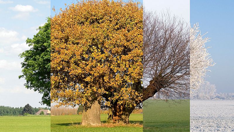 El verano se alarga en España y 'roba' hasta 30 días a la primavera y el otoño