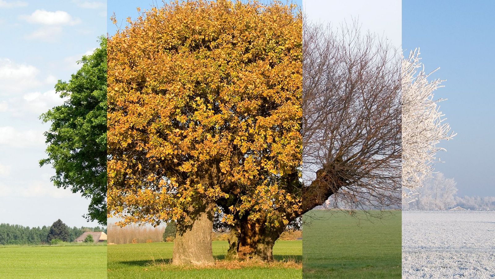 Hasta 30 días más de verano en España que en los años 90 - Telediario 1 | Ver