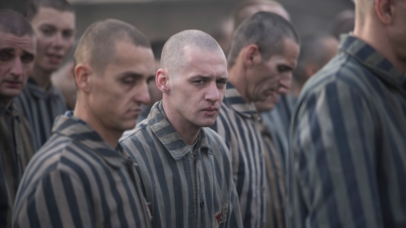 El informe Auschwitz | Ver películas gratis en RTVE Play - Cine Club Play | Ver película