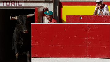 San Fermn 2024: el segundo Miura sale de toriles en la Plaza de Toros de Pamplona en los ltimos Sanfermines