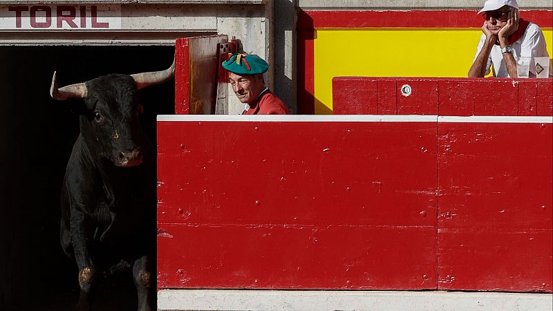 Daniel Azcona, torilero en San Fermín y corredor "decano" de los encierros: "En Pamplona no puede fallar nada"