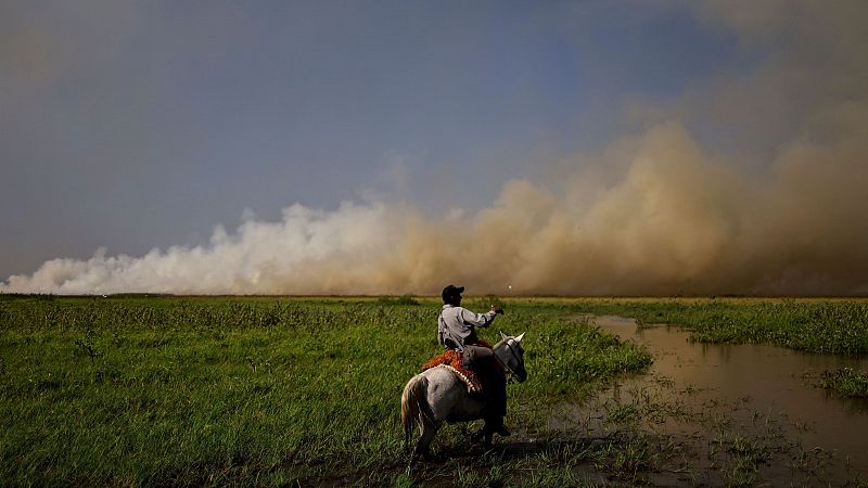 Los incendios en el estado de Mato Grosso do Sul de Brasil amenazan al Pantanal, el mayor humedal del mundo