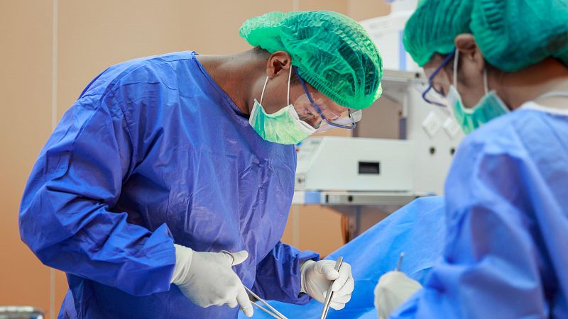 Espaa logra un nuevo rcord de trasplantes de mdula sea en 2023
